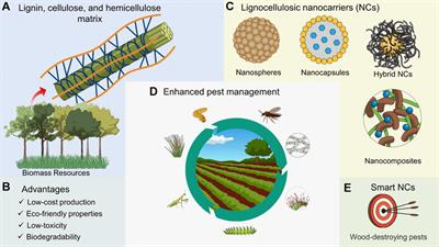Recent Advances on Lignocellulosic-Based Nanopesticides for Agricultural Applications